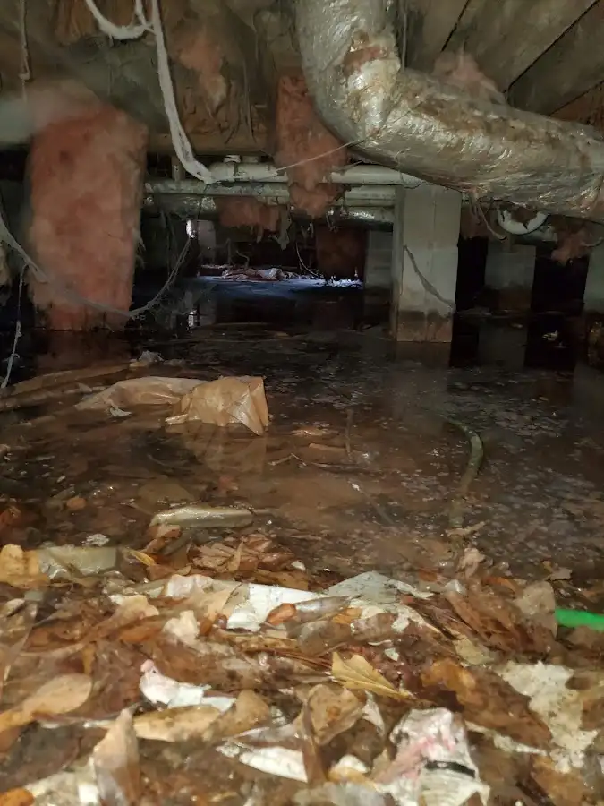 Crawl space flood assessment for Commercial Water Damage Restoration in Clayton